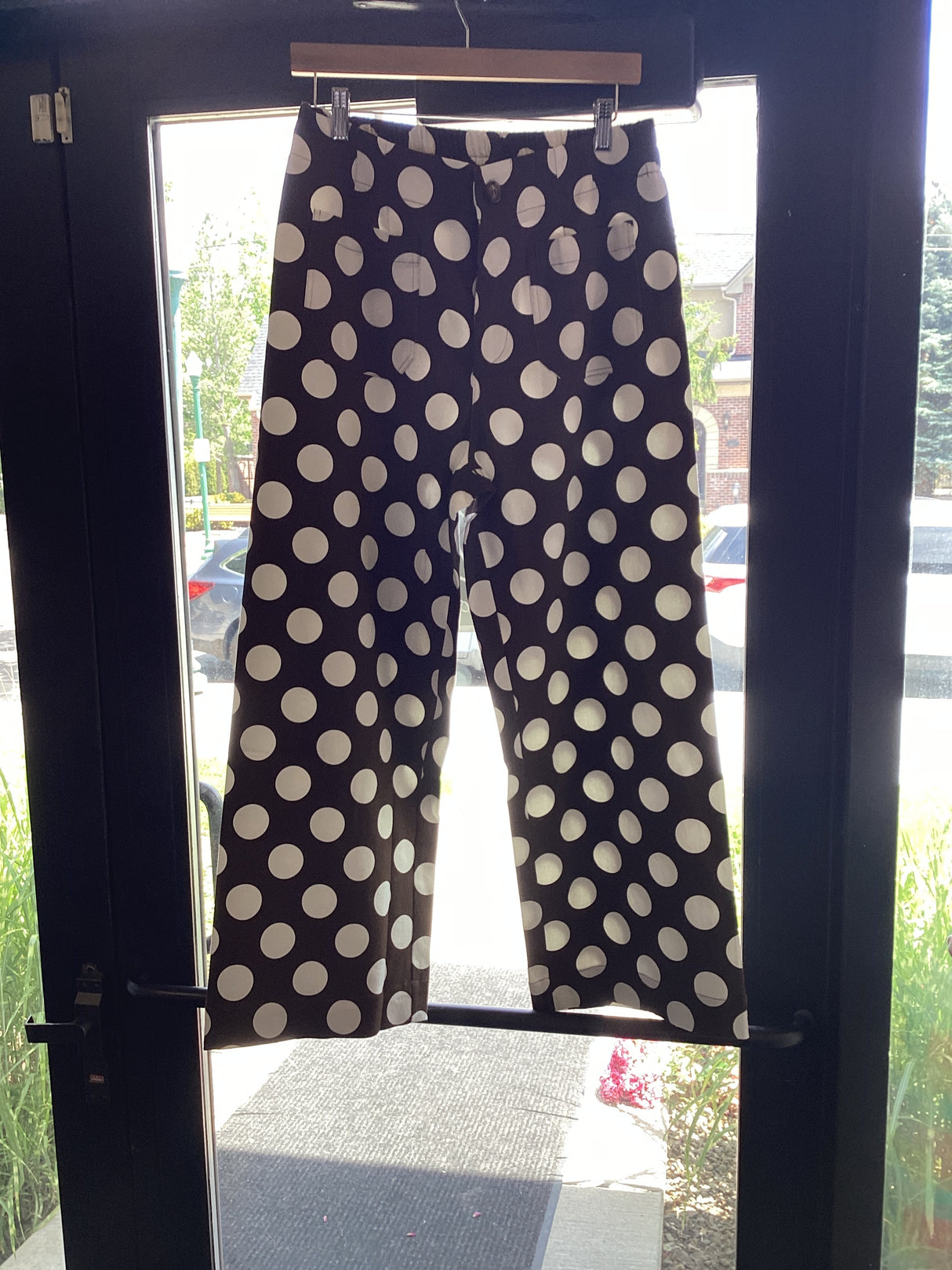 H17169 Brown Polka Dot Pants