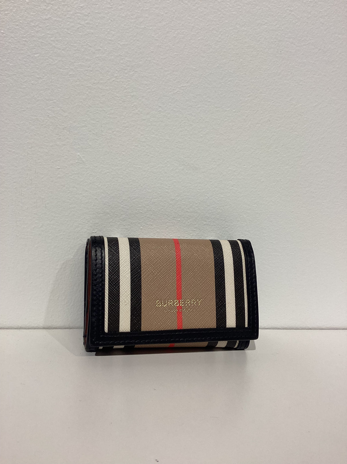 08206398 Wallet-Lark Icon Strp E-Canvas Frame