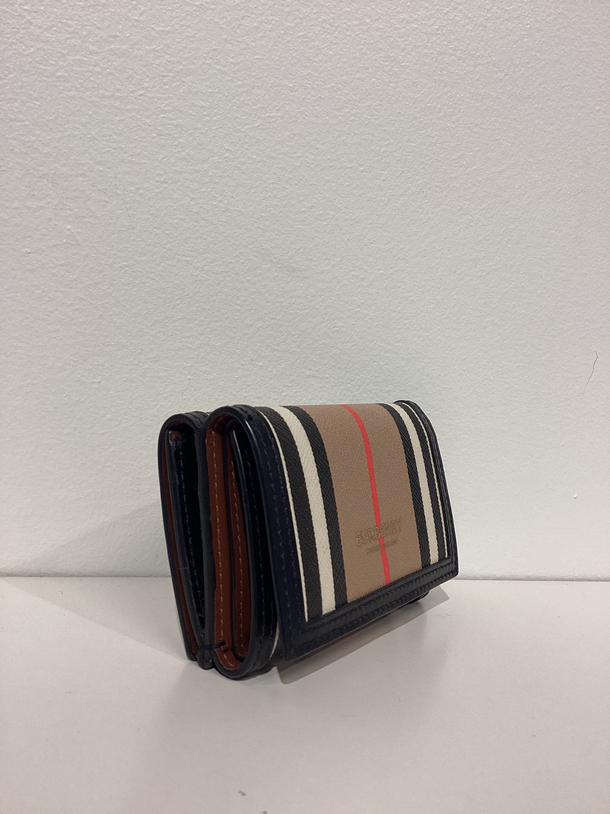 08206398 Wallet-Lark Icon Strp E-Canvas Frame