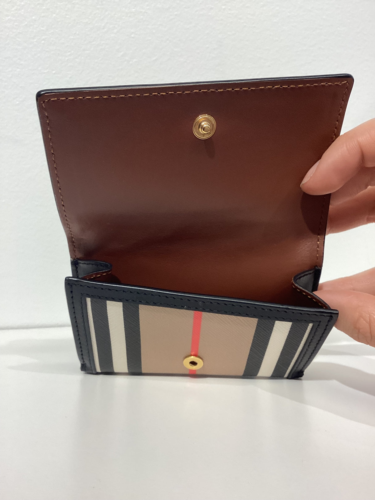 08206398 Wallet-Lark Icon Strp E-Canvas Frame