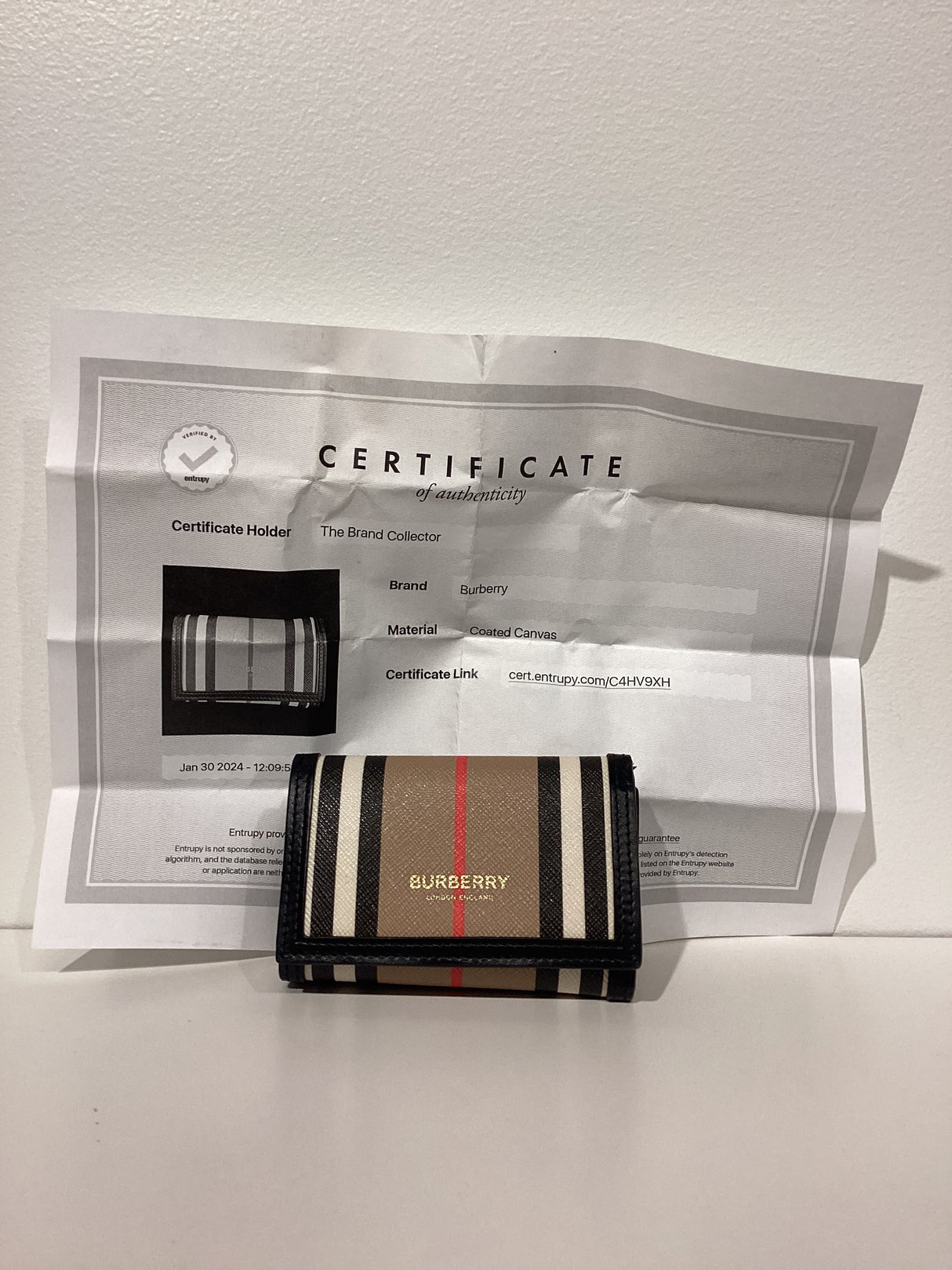 08206398 Wallet-Lark Icon Strp E-Canvas Frame