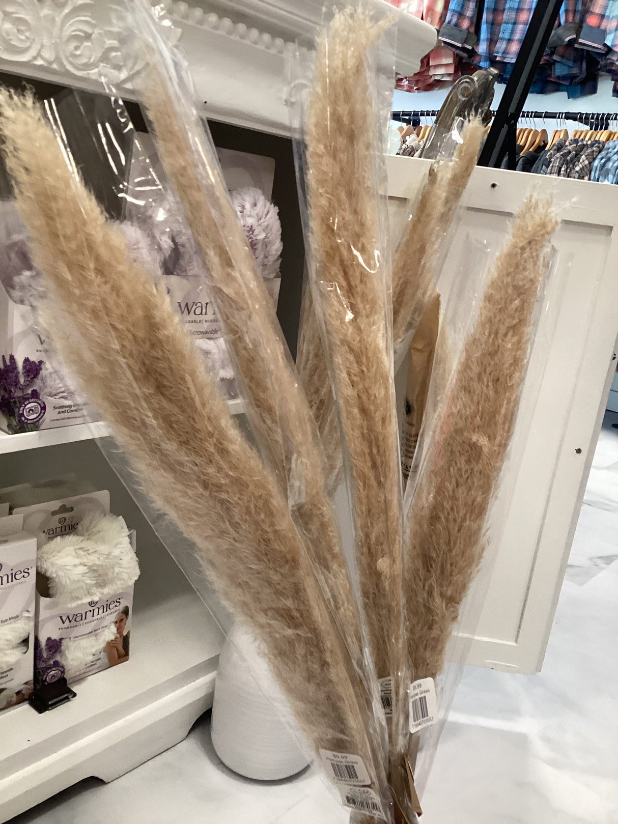 Pampas Grass