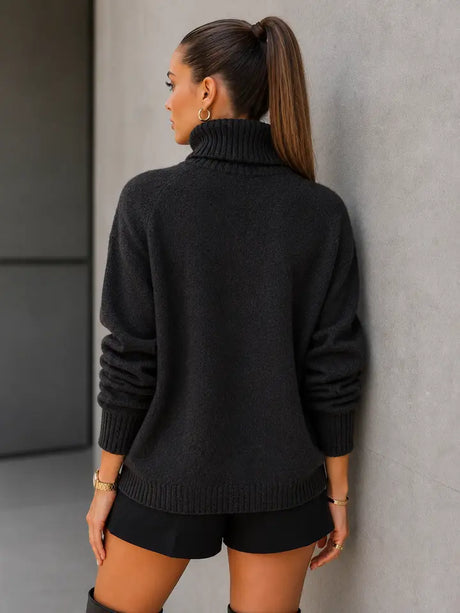 TC-006 Oversized Textured Turtleneck Sweater