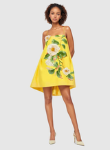 DR685Y Floral Embroidered Backless Suspender Short Skirt