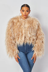 Shayla Shaggy Fur Short Jacket Coat (HDJ27948)