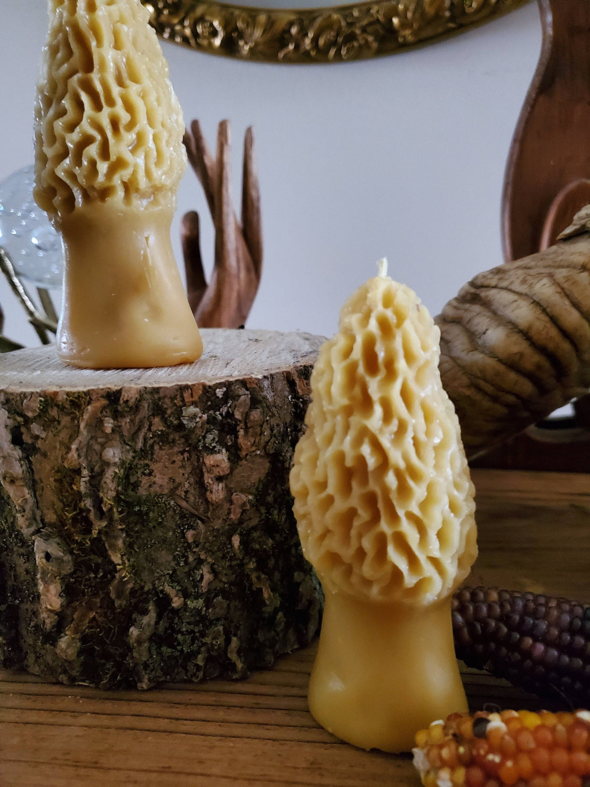 Morel Mushroom Beeswax Candle