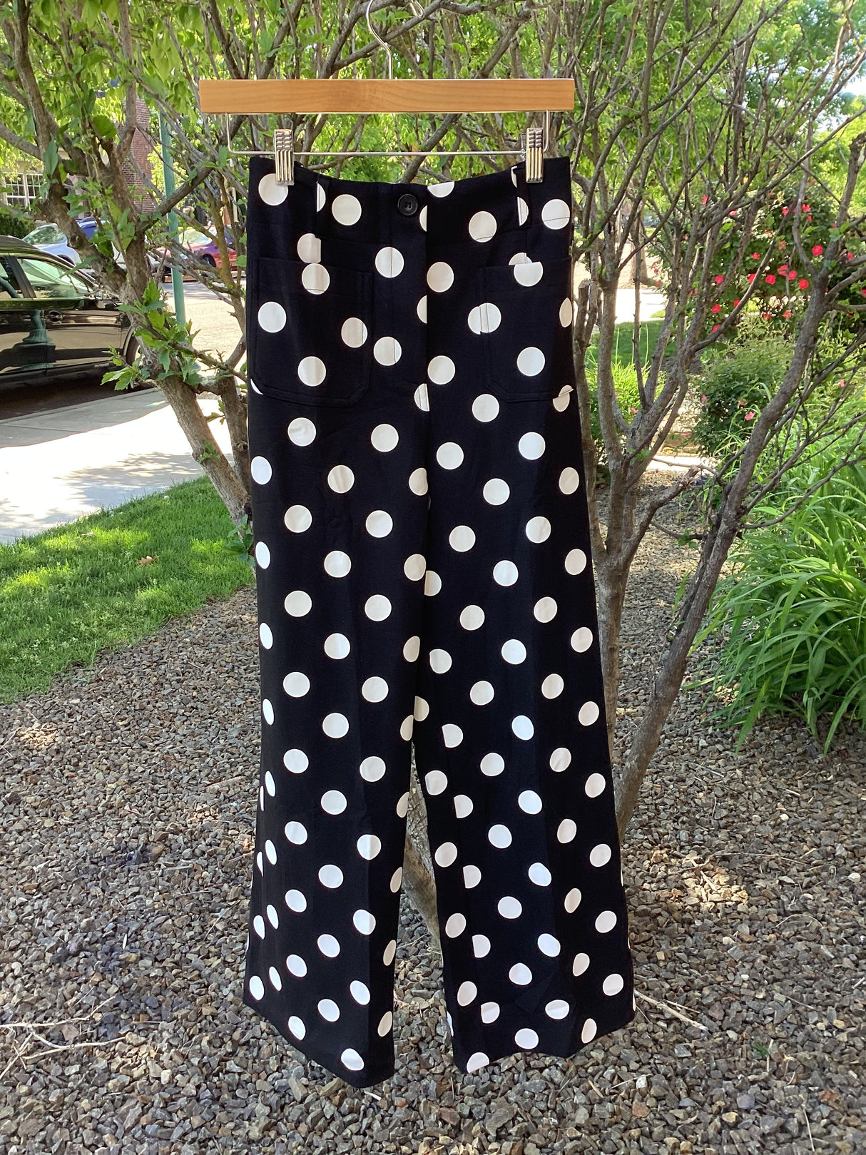 IP19290 Polka Dot High Rise Pants