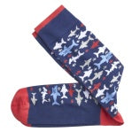 04430179  Novelty Socks-Fish