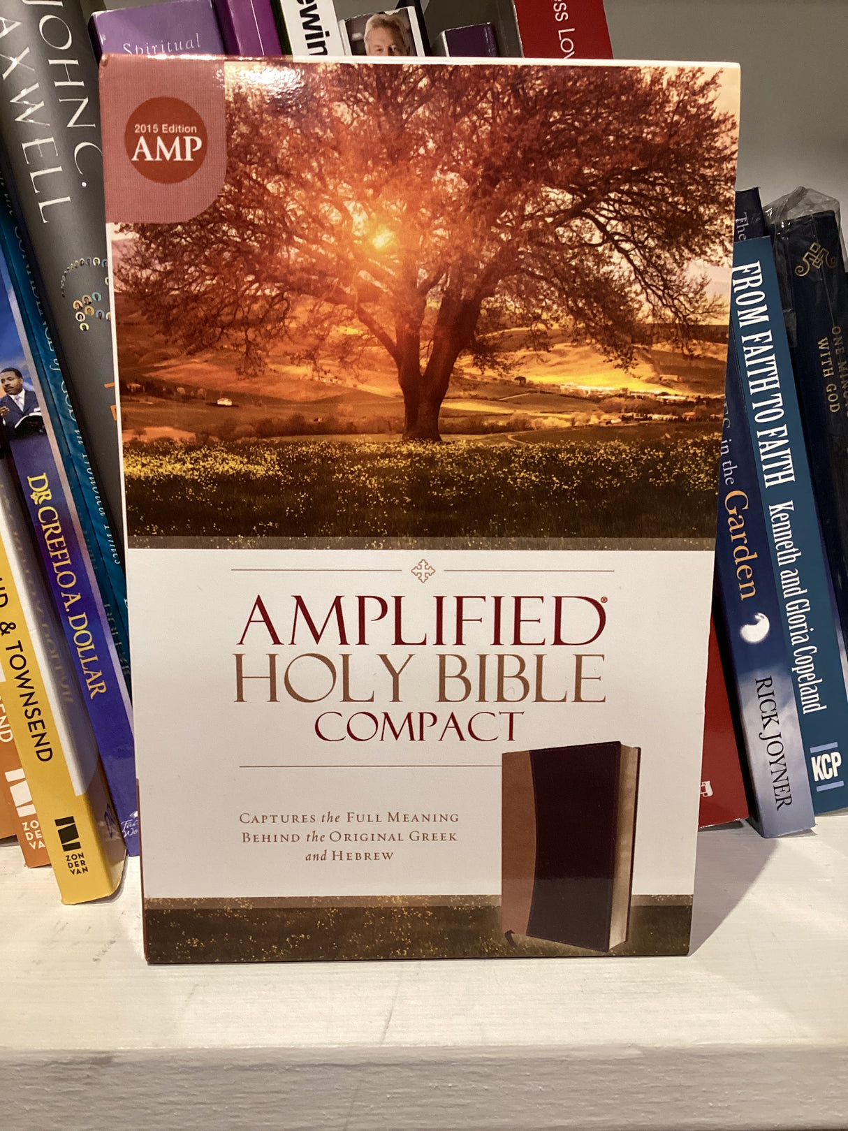 Amplified Holy Bible-Small