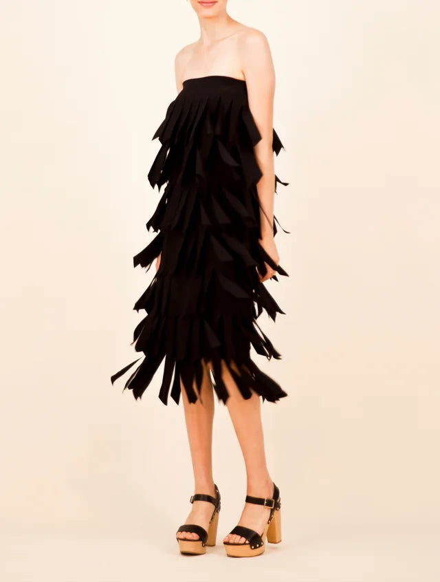 S17100 BLK XS CARWASH SKIRT/DRESS