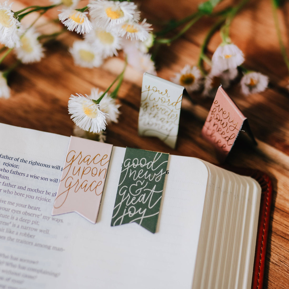 Words of Life Magnetic Bookmark Set