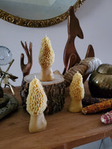 Morel Mushroom Beeswax Candle