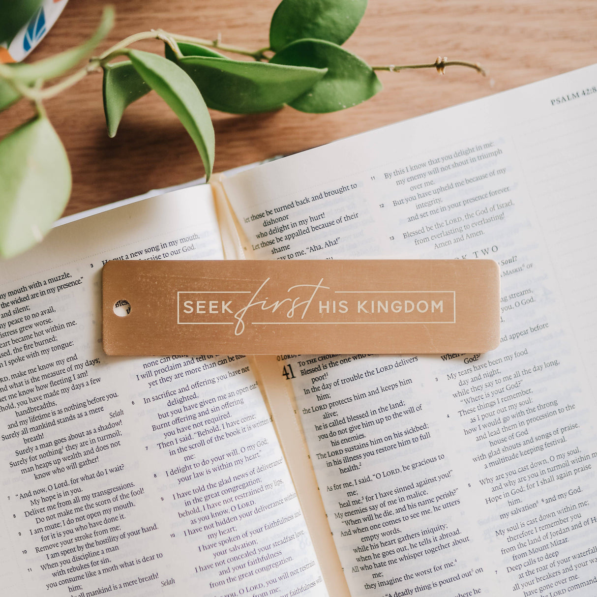 Seek First Ruler/Bookmark